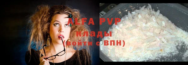 ПСИЛОЦИБИНОВЫЕ ГРИБЫ Каменногорск