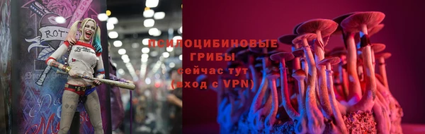 МДМА Каменка