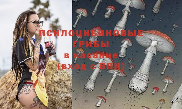 стаф Инта