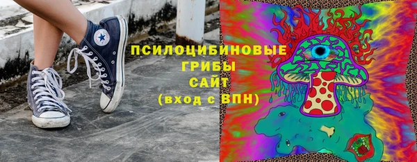 ПСИЛОЦИБИНОВЫЕ ГРИБЫ Каменногорск