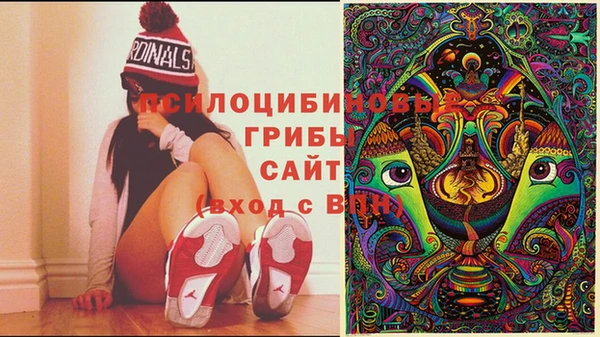 ПСИЛОЦИБИНОВЫЕ ГРИБЫ Каменногорск