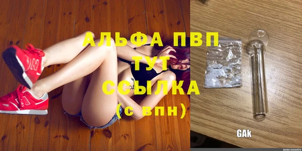 ПСИЛОЦИБИНОВЫЕ ГРИБЫ Каменногорск