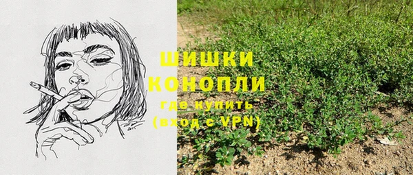 ПСИЛОЦИБИНОВЫЕ ГРИБЫ Каменногорск