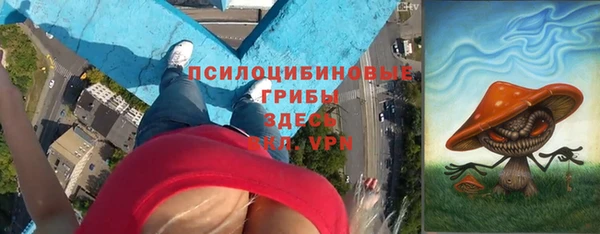 ПСИЛОЦИБИНОВЫЕ ГРИБЫ Каменногорск